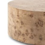 Product Image 19 for Caya Coffee Table from Four Hands