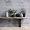 Stain grey/brown vase displayed with plants and black pots on floating wooden shelf against concrete wall