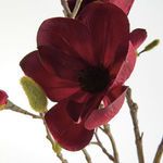 Product Image 3 for Magnolia Branches, Set of 4 from Napa Home And Garden