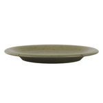 Product Image 1 for Bosque Stoneware Dinner Plate from BIDKHome