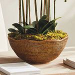 Side view of bowl used as plant holder with green leaves and moss inside, styled on wooden surface