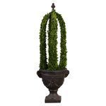 Product Image 1 for Uttermost Preserved Boxwood Obelisk Tower from Uttermost