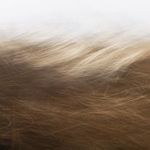 Product Image 11 for Reality Unfurled By Toni Toscano from Four Hands