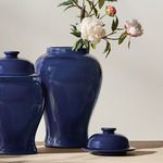 Product Image 4 for Koa Wide Lidded Ginger Jar from Napa Home And Garden