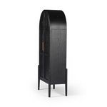 Product Image 33 for Tolle Arched Black Two-Door Cabinet from Four Hands