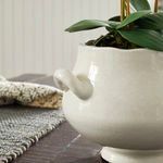Detail of one handle and curved bulbous body, with natural light enhancing ceramic’s glossy finish