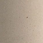 Close macro view showing soft matte ceramic texture with speckled details