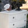 Product Image 10 for Rosalyn Large Ivory Mahogany Chest from Gabby