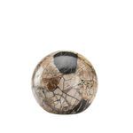 Gaia Ball showing a slightly different side with more visible black patch and fine wood grain cracks