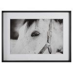 Product Image 1 for Eye of the Beholder Black & White Framed Horse Print from Uttermost