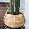 Product Image 3 for Small Cane Basket from Accent Decor