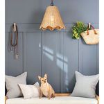 Summer small woven outdoor pendant hanging above cushioned bench with pillows and dog in indoor room setting