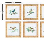Product Image 2 for Songbird Petite Prints, Set Of 6 from Napa Home And Garden