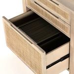 Clarita Desk System W/ Filing Cabinet - White Wash Mango image 3