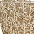 Product Image 6 for Birdlore Vanilla Wall Sconce from Currey & Company