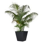 Product Image 6 for Kiro Planter from Four Hands