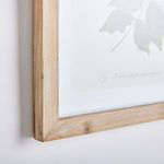 Product Image 2 for Flora And Fauna Gallery Prints, Set Of 8 from Napa Home And Garden