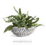 Product Image 9 for Serena Decorative Bowl from Napa Home And Garden