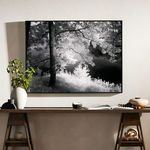 Product Image 2 for Summer Light By Getty Images, Framed Landscape Photography from Four Hands