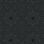 Black matte wallpaper with geometric pattern of stars and crosses outlined in thin white lines