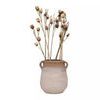 Small Megara urn holding dried spiky flowers, isolated on white background