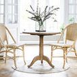 Product Image 3 for Alanis Rattan Dining Side Chair from Sika Design