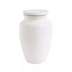 Product Image 1 for Medium Round White Terracotta Cachepot from Creative Co-Op