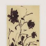 Product Image 15 for Meadow Rue Set by Shaina Page from Four Hands