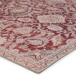 Product Image 1 for Sire Indoor / Outdoor Oriental Red / Gray Area Rug from Jaipur 