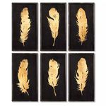 Product Image 1 for Feather Study, Set Of 6 from Napa Home And Garden