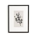 Product Image 1 for Sprig I by Coup D'esprit from Four Hands