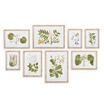 Product Image 1 for Flora And Fauna Gallery Prints, Set Of 8 from Napa Home And Garden