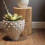 Product Image 4 for Agave Side Table from Jamie Young