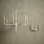 Aleister Wall Sconce displayed next to matching chandelier against textured wall