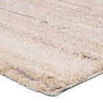Close-up showing plush pile and carved texture in tan and cream fibers