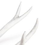 Product Image 3 for Antler Objet Large from Regina Andrew Design