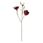 Product Image 1 for Magnolia Stems, Set of 4 from Napa Home And Garden