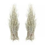 Product Image 1 for White Washed Cocoa Twig Sheaf   Set Of 2 from Elk Home