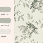Wallpaper with three color swatches labeled Sage Leaf, Pistachio, and Pearl alongside floral pattern