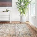 Layla Ocean Rust Rug in a bright room with white walls and green potted plant, showing rug texture on wood floor