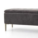 Product Image 7 for Rennie Trunk from Four Hands