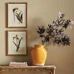 Product Image 3 for Assorted Pressed Flower Study, Set of 4 from Napa Home And Garden
