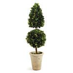 English Boxwood Cone & Ball Topiary 25" image 2