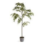 Product Image 1 for Faux Maple Tree in Pot, 84" from Napa Home And Garden