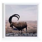 Product Image 2 for Ram By Vitaliy Paykov from Four Hands