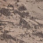 Product Image 5 for Return To The Pasture by Tyler Guinn from Four Hands