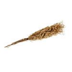 Product Image 2 for Bui Grass Paper Wrap Natural Bunch from BIDKHome