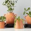 Product Image 4 for Terracotta Italian Olive Jar Planter, Medium from etúHOME
