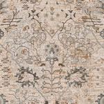 Product Image 4 for Brunswick Ivory / Beige Rug from Surya