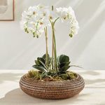 Product Image 5 for Burma Rattan Shallow Display Bowls, Set Of 2 from Napa Home And Garden